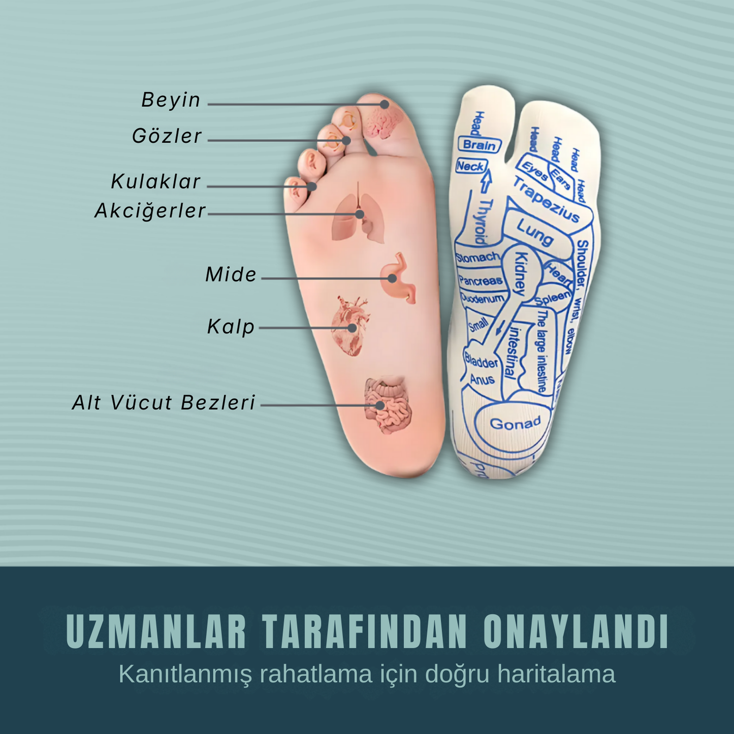 Şifa Noktası™ RefleksTerapi Çorabı